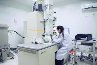 選對大學專業 中國材料科學與計算機工程強校對比，浙大與交大如何抉擇